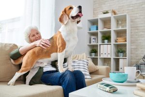 Housing residents may be entitled to emotional support dog as reasonable accommodation for disability.